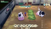Story Of Seasons Grand Bazaar Premium Edition 