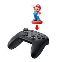 Pro Controller  
