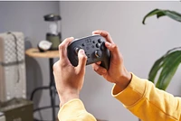 Pro Controller  