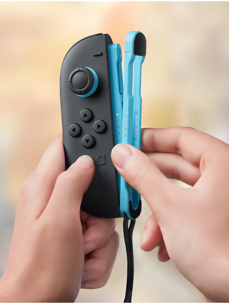 Joy-Con Straps 2 Pack 