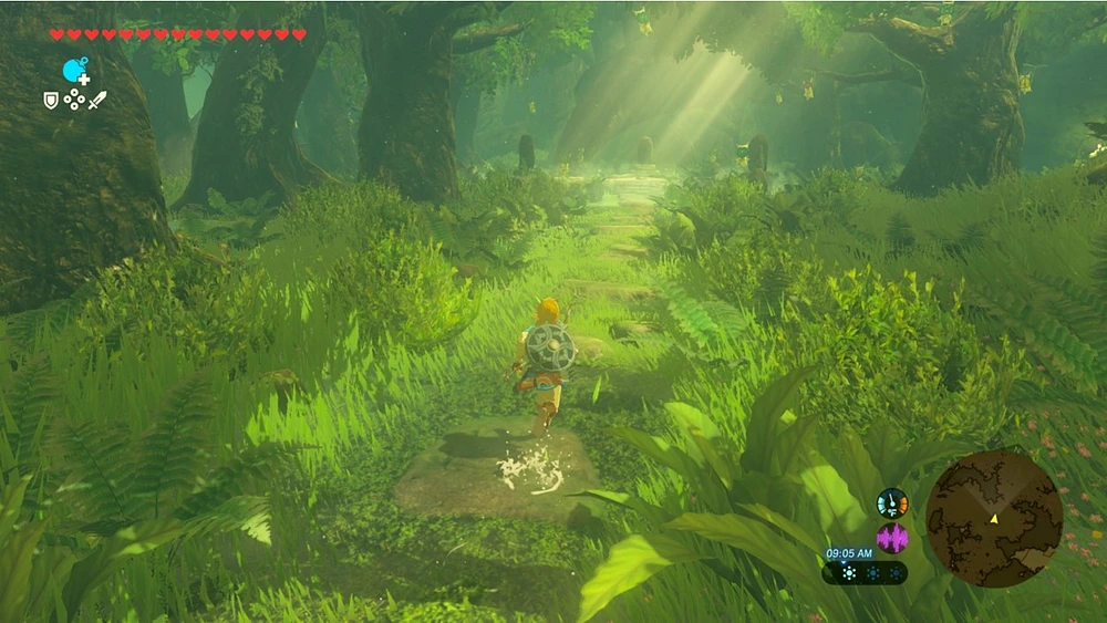 The Legend of Zelda Breath Wild