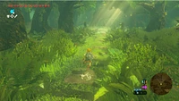 The Legend of Zelda Breath Wild