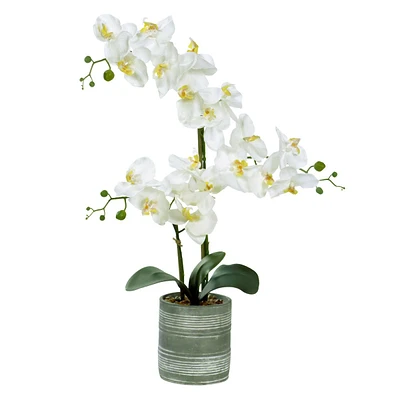 Orchid Flower with Ceramic Planter