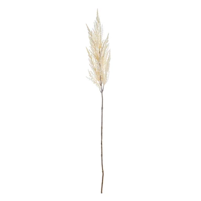 Pampas Grass Stem