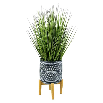 Grass Plant with Cement Planter