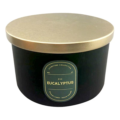 Eucalyptus Fig Scented Jar Candle, 16oz