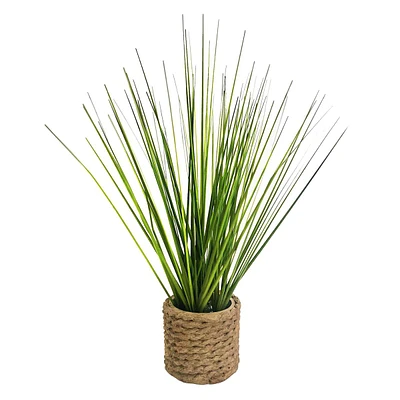 Mini Grass Plant with Planter, 11"