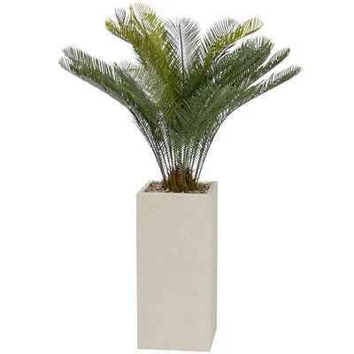 Palm with Square Textured Planter, 54"