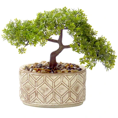 Bonsai Tree with Glazed Ceramic Planter, 11.5"