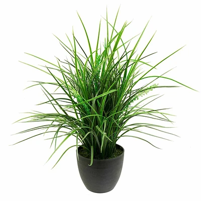 Grass Plant with Planter