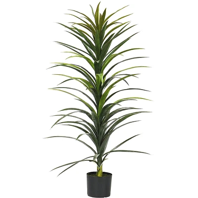 Yucca Tree with Black Planter