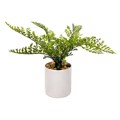 Fern Plant with Planter White, 8"