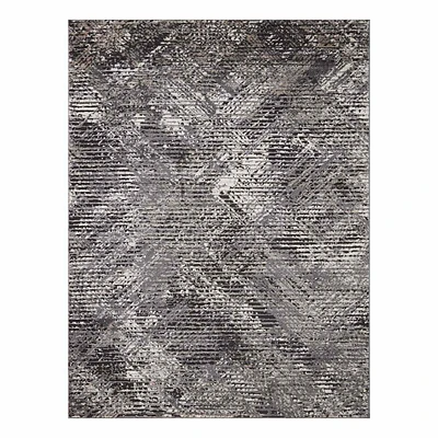 D554) Estie Charcoal & Black Area Rug