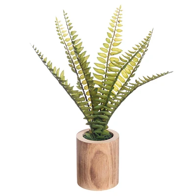 Fern in Wooden Pot, 10"