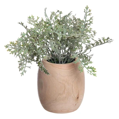 Dusty Miller Faux Plant in Wood Pot, 11"