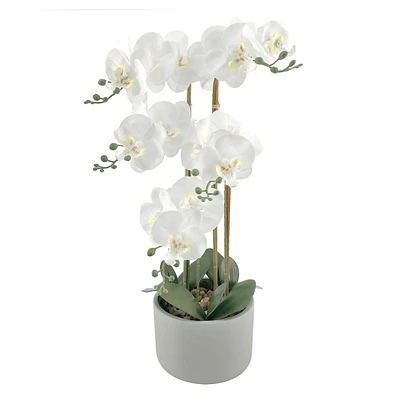 Orchid Flower with Grey Cement Planter, 24"