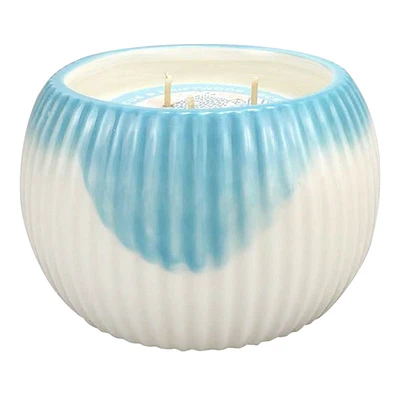 3-Wick Blue Hibiscus & Driftwood Scented Jar Candle, 16oz