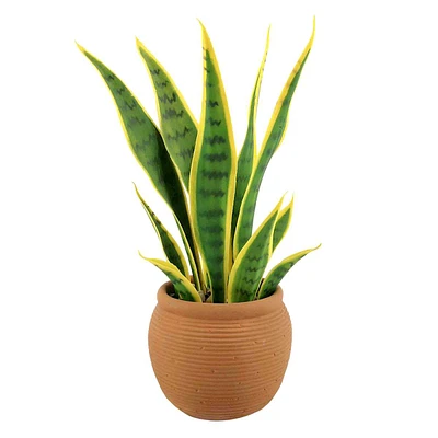 Sansevieria with Brown Planter, 17"