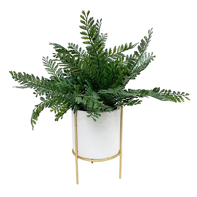 Fern in White Pot, 14"