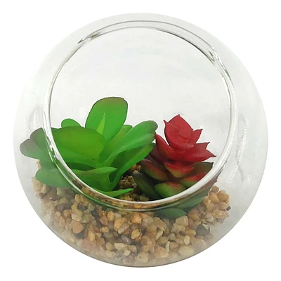 Succulents in Glass Bowl, 4.75"