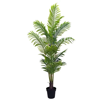 Potted Areca Palm Plant, 6'