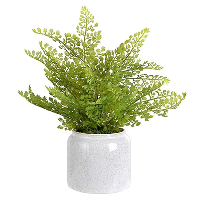 Fern Arrangement in Ceramic Pot