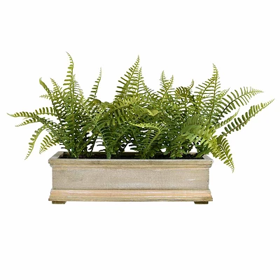 Fern Arrangement in Wood Planter, 11"