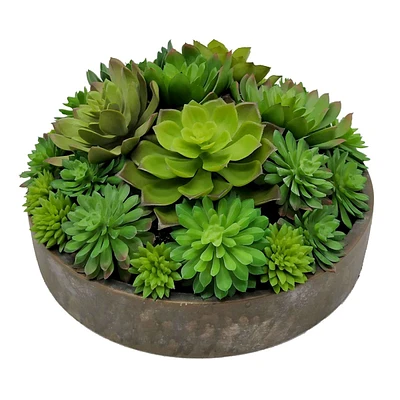 Succulent Lotus Arrangement in Cement Bowl, 5"