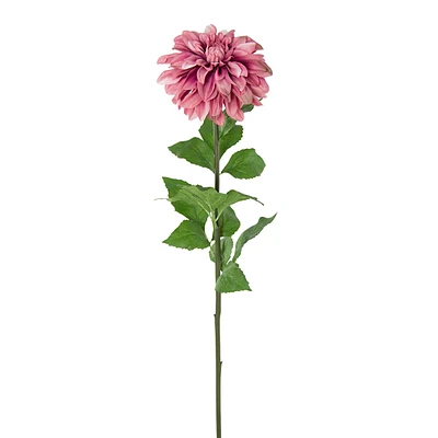 Dahlia Floral Stem