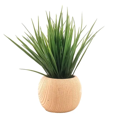 Grass in White Oak Pot, 11"