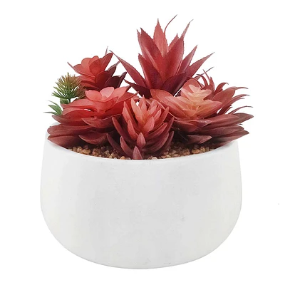 Red Succulent In Cement Pot