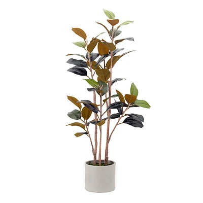 Rubber Tree in Grey Vessel, 48"