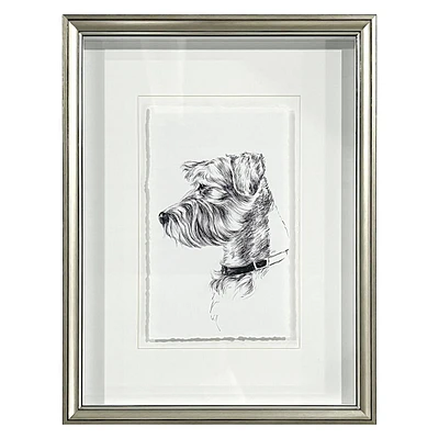 Providence Glass Framed Dog Sketch Print Wall Art