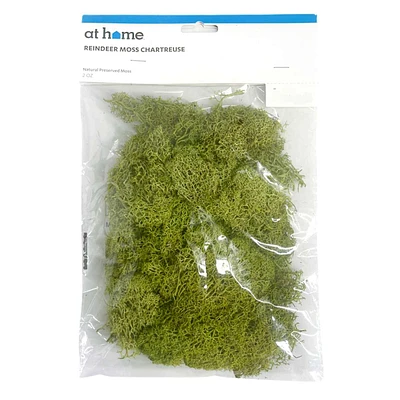 Chartreuse Green Reindeer Moss, 2oz