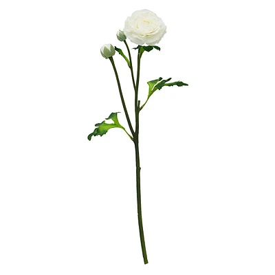 White Ranunculus Floral Stem