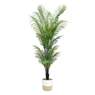 Areca Palm in Deco Basket, 6.5'