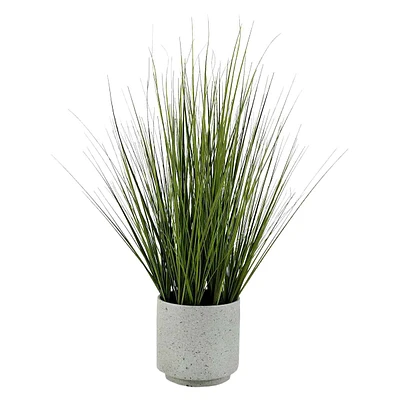 Onion Grass in Cement Pot, 31"