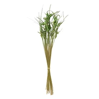 Green Star Grass Bundle