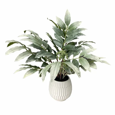 Tracey Boyd Lemon Leaves in Pot, 24"