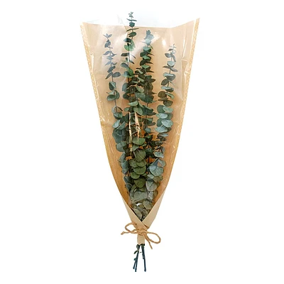 Dried Eucalyptus Bundle, 30"