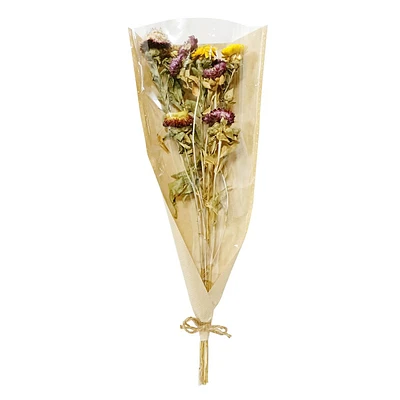 Dried Daisy Bundle, 20"