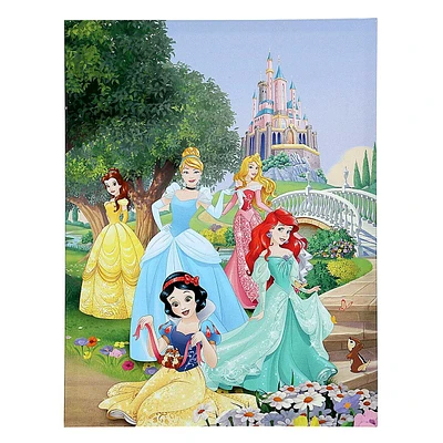 Disney Princess Canvas Wall Art