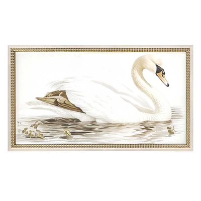 Providence Glass Framed Vintage Swan Study Wall Art, 30x18