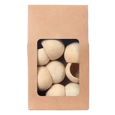 Natural Bell Cups Dried Filler Orbs