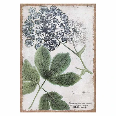 Queen Anne Lace Flower Spackled Burlap Canvas Wall Art, 16x24