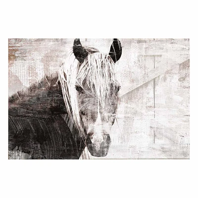 Horse Portrait Canvas Wall Art, 36x24