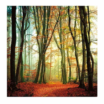 Fall Woods Textured Canvas Wall Art, 35"