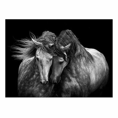 Horse Canvas Wall Art, 40x30