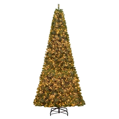 (D1) Pre-Lit LED Grand Capital Pine Christmas Tree, 12'