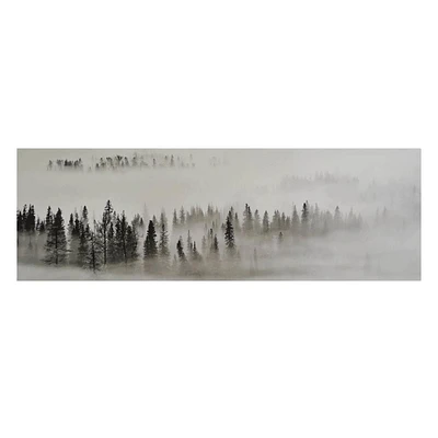 Foggy Forest Canvas Wall Art, 36x12